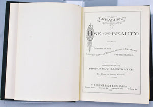 Treasures of Use and Beauty by Various 1883