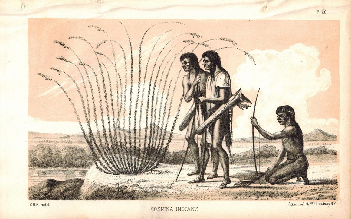 Cosnina Indians 1853 American Indian Antique Litho Print