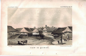View In Quibdó (Quibdo) Columbia Village Straw Houses Cows 1854 Litho Print