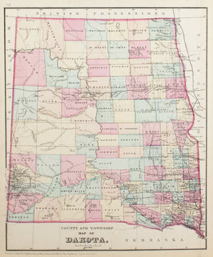 1881 County and Township Map of Dakota - S Mitchell Jr