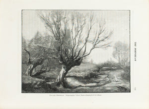 Pollard Hornbeam Tree from H.G. Moon drawing 1905 Flora and Sylva Print