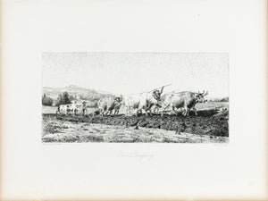 Oxen Ploughing Field Ox Plow Harvest c. 1880 Engraved Art Print