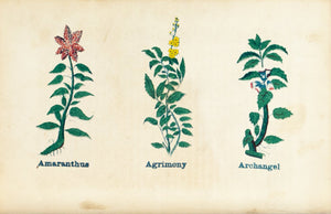 1868 Nature's Remedies - Amaranthus Agrimony Archangel - Dr. O Phelps Brown 