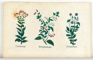 1868 Nature's Remedies - Centaury Bittersweet Celandine - Dr. O Phelps Brown