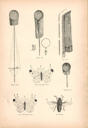 1891 Butterfly Catching Net - Morris 