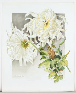 1890 Moonlight Chrysanthemum - Mathews