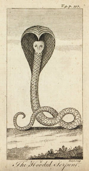 1774 The Hooded Serpent - Hulett 