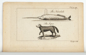 1774 The Narwhale and The Lynx - J Lodge