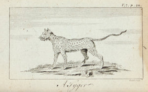 1774 A Tyger [Tiger] - Hulett 