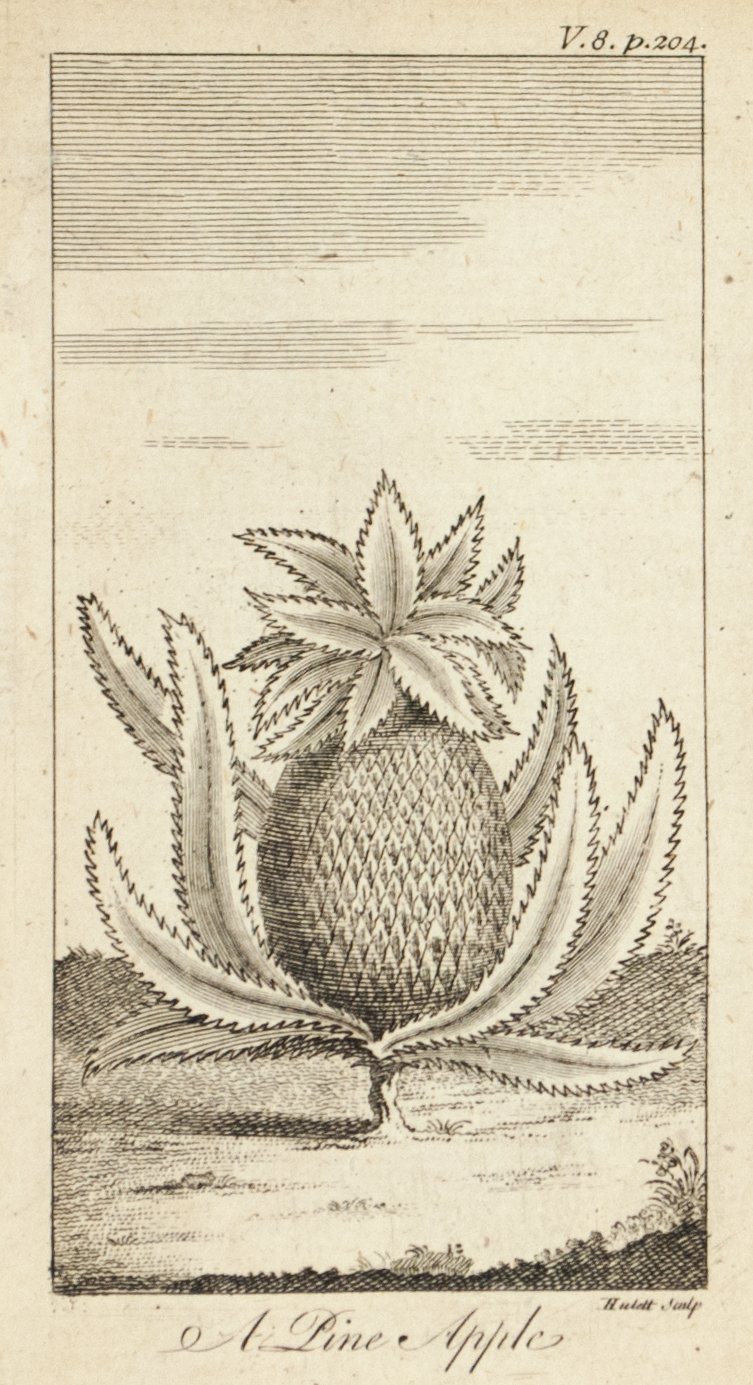 1774 A Pine Apple [Pineapple] - Hulett 