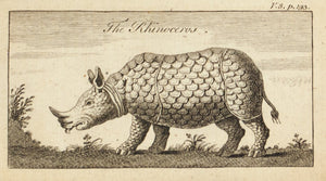 1774 The Rhinoceros - Hulett 