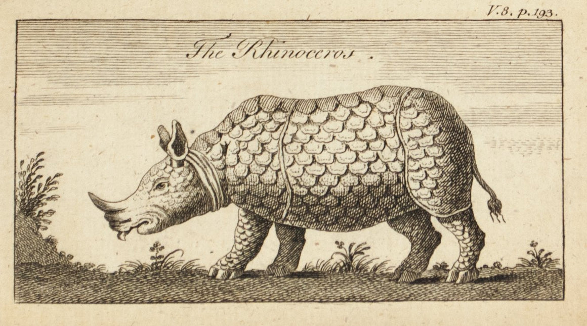1774 The Rhinoceros - Hulett 