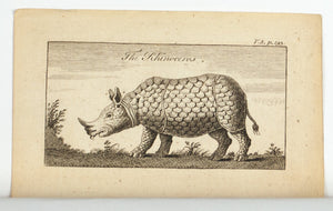 1774 The Rhinoceros - Hulett