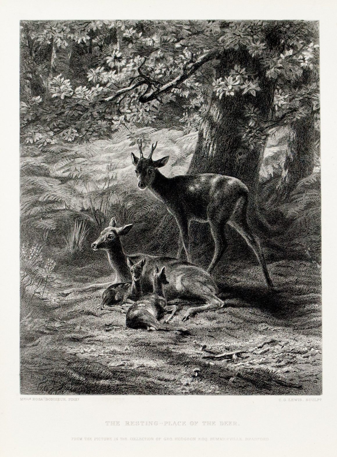 1879 The Resting Place of the Deer - Bonheur 