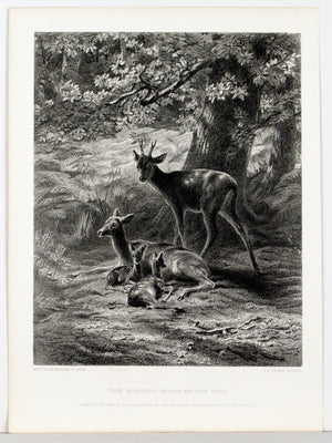 1879 The Resting Place of the Deer - Bonheur