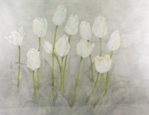Virginia Greenleaf - White Tulips - Painting - 1985