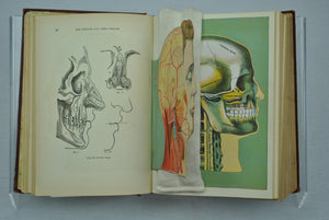 Health Knowledge Vol 1 by J L Corish MD 1927