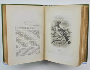 A Natural History & Antiquities of Selborne by Gilbert White Limited 28/280 1900