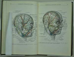 Manual of Surgical Anatomy US Army Medical Dept 1918