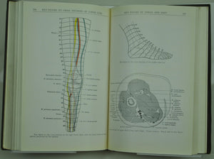 Manual of Surgical Anatomy US Army Medical Dept 1918