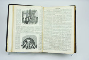 Appleton's Journal of Literature Science and Art Jul-Dec 1872