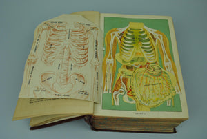 Library of Health Guide to Prevention and Cure of Disease by Frank Scholl 1928