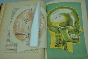Library of Health Guide to Prevention and Cure of Disease by Frank Scholl 1926
