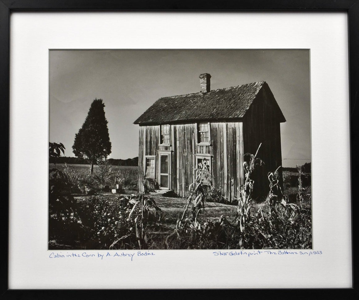 A Aubrey Bodine - Cabin in the Corn (Caroline County) - Photograph - 1953