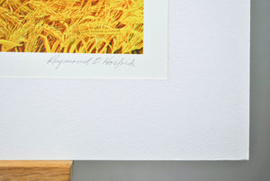 1973 For Amber Waves of Grain Lithograph by Raymond Hosford Signed 32x24in