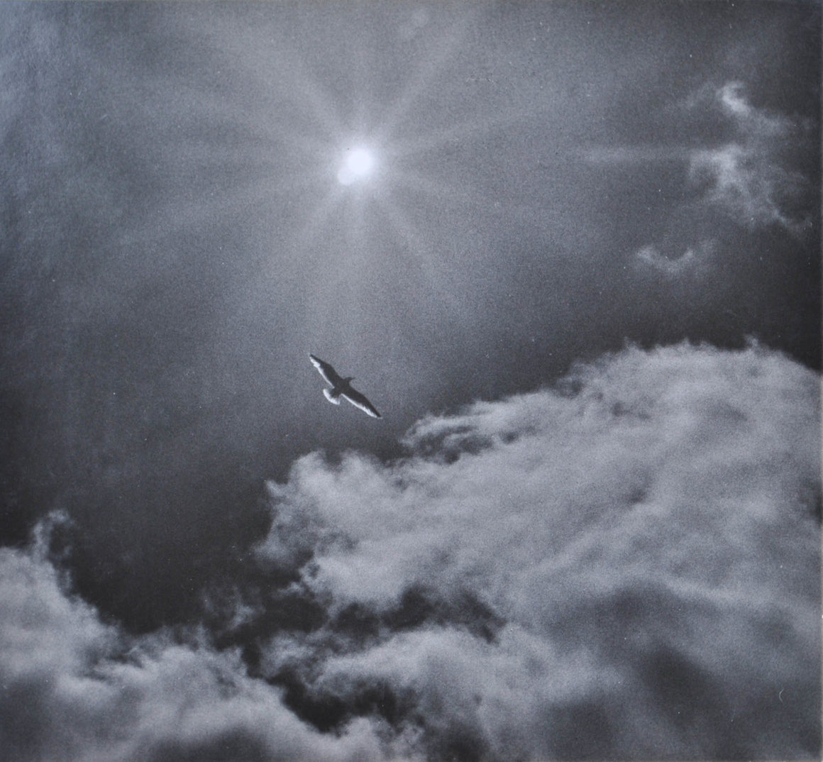 1969 Flight Photo by Joseph Buemy [Buemi] Signed Freedom and Sun