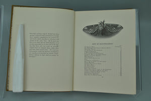 Moths of the Limberlost by Gene Stratton-Porter 1912