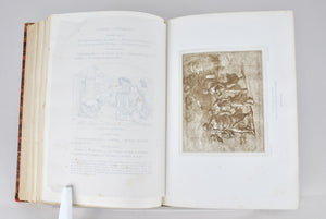 Raphael Sa Vie Son Oeuvre et Son Temps by Eugene Muntz 1881