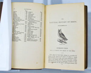 The Natural History of Birds by Robert Mudie 1834