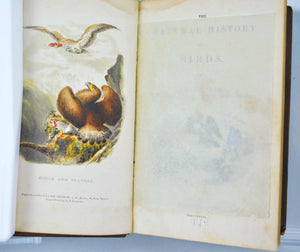 The Natural History of Birds by Robert Mudie 1834