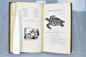 A History of British Reptiles by Thomas Bell 1839 Signed by Publisher