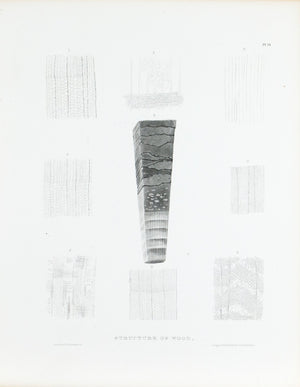 1849 Pl 14 Wood Structure - Emmons 
