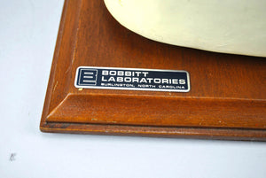 Vintage Bobbitt Laboratories Human Eye Medical Training Model