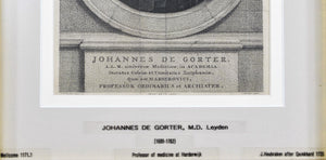 Johannes De Gorter (1689-1762) Antique Doctor Print