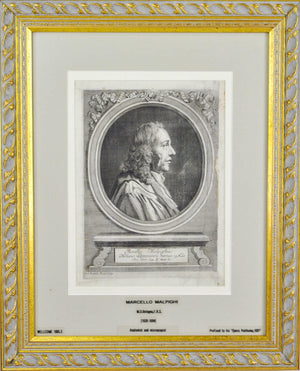 Marcello Malpighi (1628-1694) Antique Doctor Print 1697