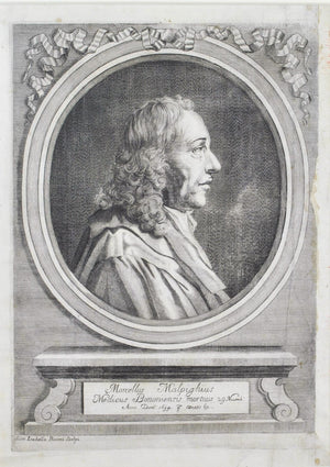 Marcello Malpighi (1628-1694) Antique Doctor Print 1697