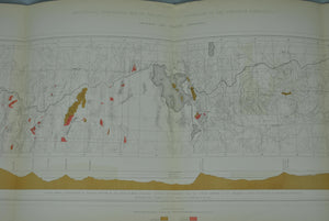 1870 Analytical Geological Map I