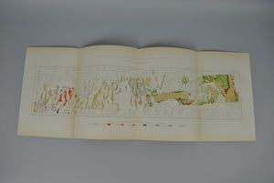1870 Analytical Geological Map II