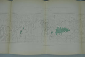 1870 Analytical Geological Map V