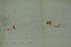 1870 Analytical Geological Map VII