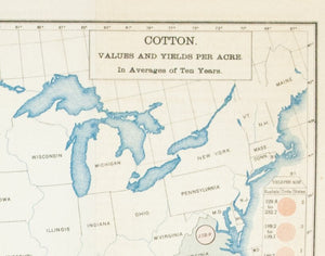 1890 Cotton. Values and Yields per Acre.