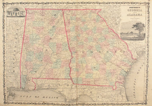 1860 Georgia and Alabama - Johnson