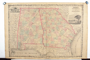 1860 Georgia and Alabama - Johnson