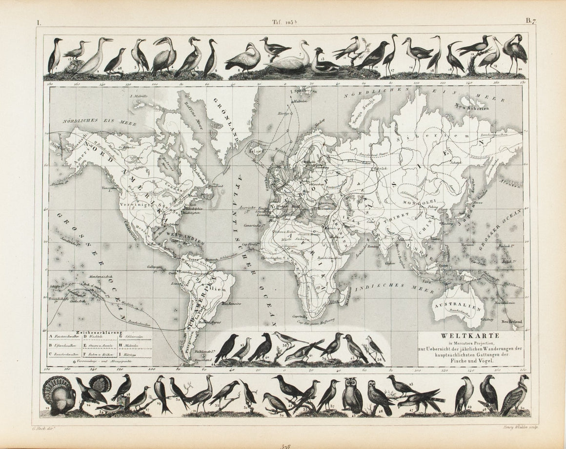 1857 Tef 106 Chart of the migrations of fishes and birds - JG Heck
