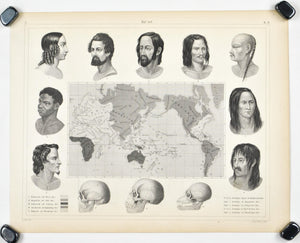 Varieties of Races of Mankind Antique Anatomy Print 1857